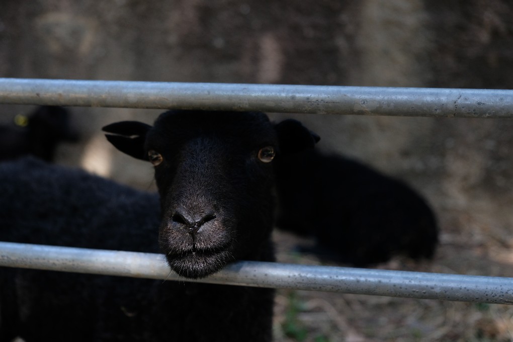 Open Dayyy 2023 ! : L'Album souvenir !