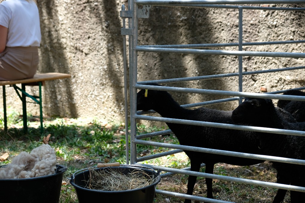 Open Dayyy 2023 ! : L'Album souvenir !