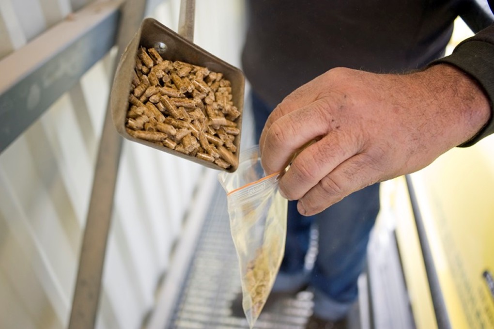 Des perspectives positives pour le granulé de bois !