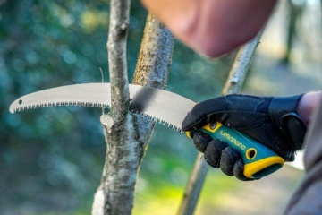 Tout savoir avant de se lancer dans la coupe du bois ! Actualités – Leborgne