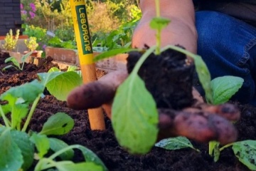 Leborgne vous partage ses conseils afin de préparer son jardin pour le printemps