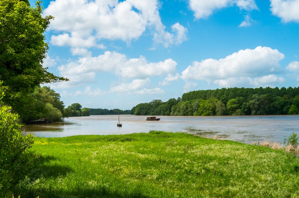 Le Lac de Maine à Angers (49) : un écrin de nature né d’une gravière
