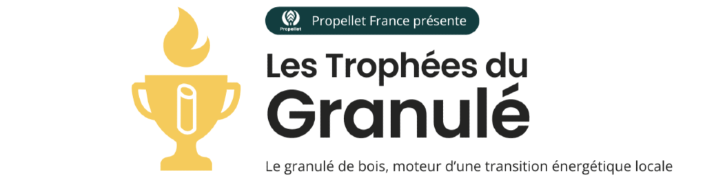 Chauffage au granulé : Propellet lance un concours pour récompenser les communes engagées