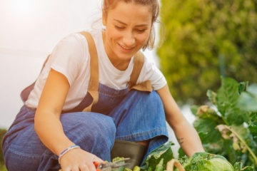 Les 6 conseils pour jardiner sur de petites surfaces : carrés de potager, plates-bandes, jardinières