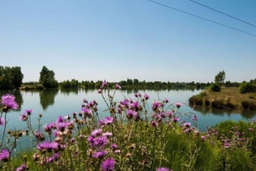 Lac de Bordeneuve à Frouzins (31) : l’histoire d’une gravière transformée en havre de biodiversité
