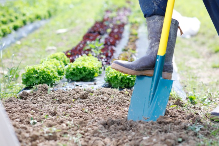 leborgne-jardin-social-media-reseaux-sociaux-presse-influence